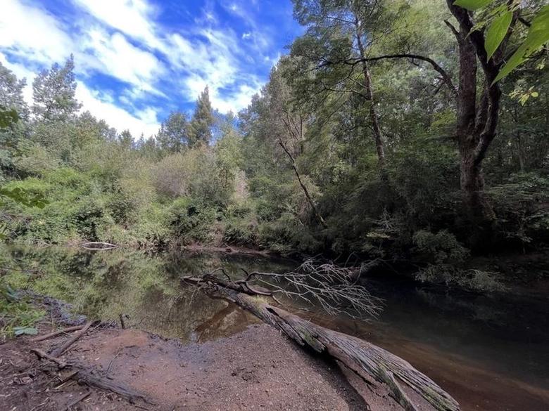 Ribera del Río Huiñoco en el sector El Dorado