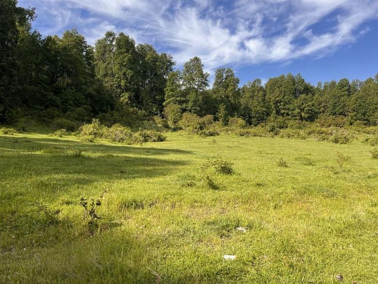 Pradera abierta de una parcela en Altos de Lican Ray