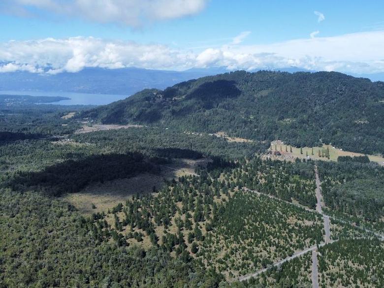 Vista aérea del sector Melilahuen y su entorno boscoso