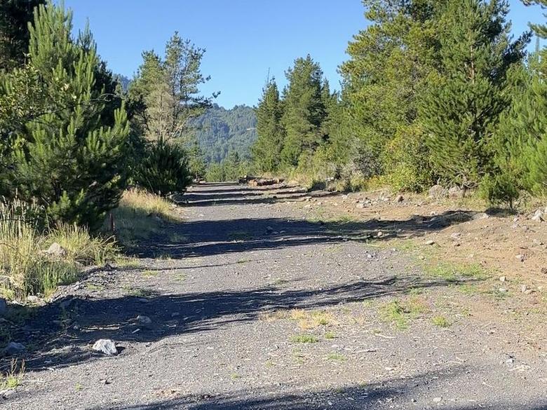 Acceso al sector con bosque a ambos lados