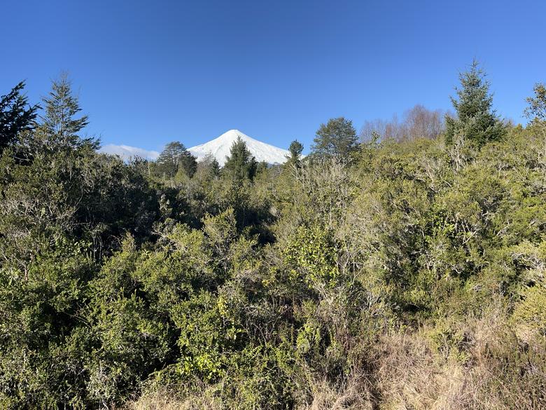 Vista al volcán Villarrica nevado desde el sector Molco
