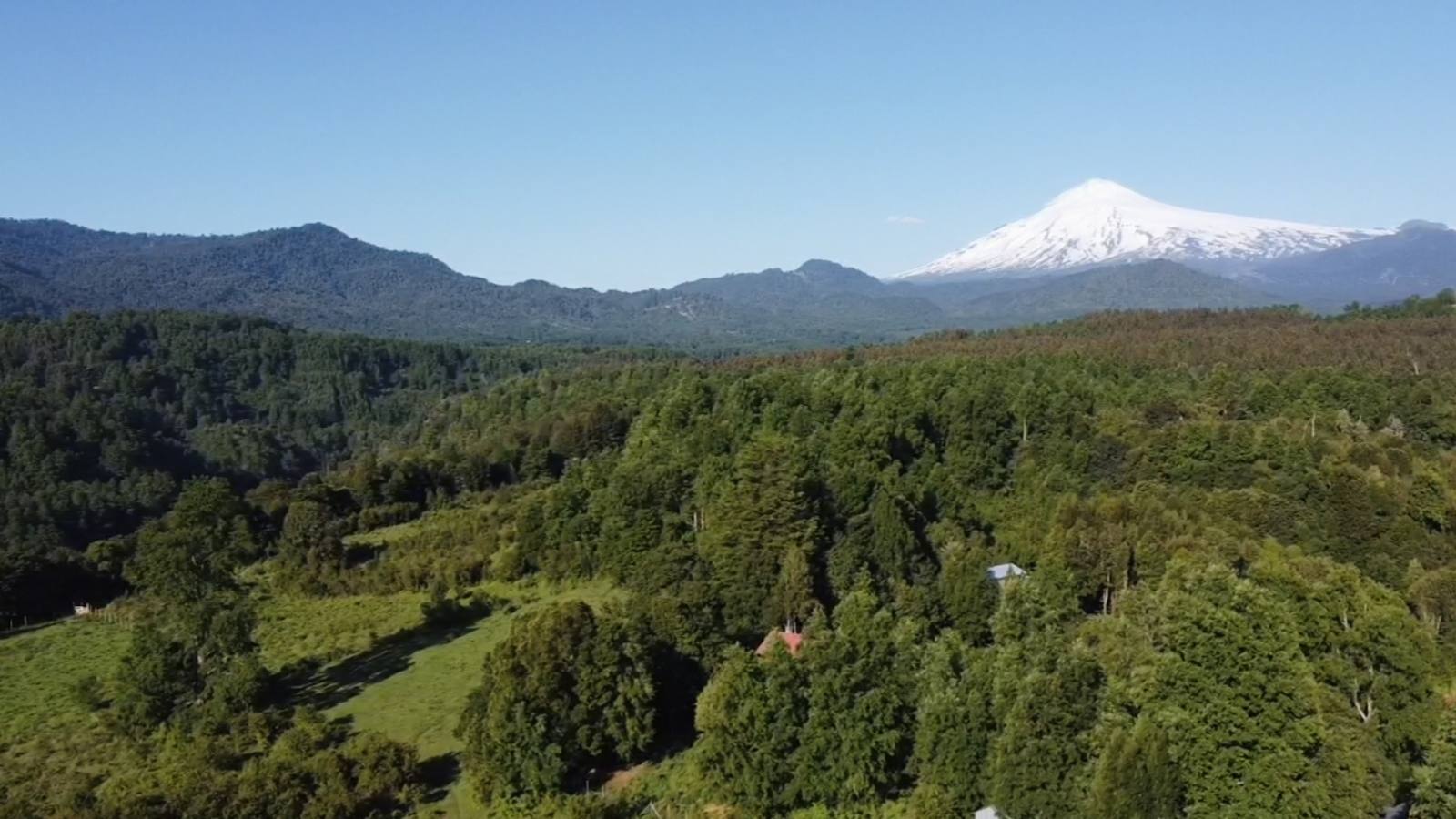 El volcán Villarrica nevado sobre el bosque nativo de la Araucanía