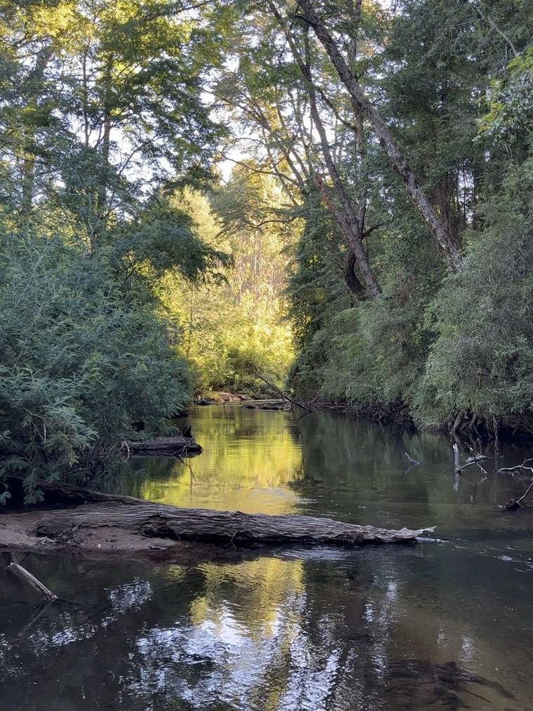 Río Huiñoco a la orilla de las parcelas