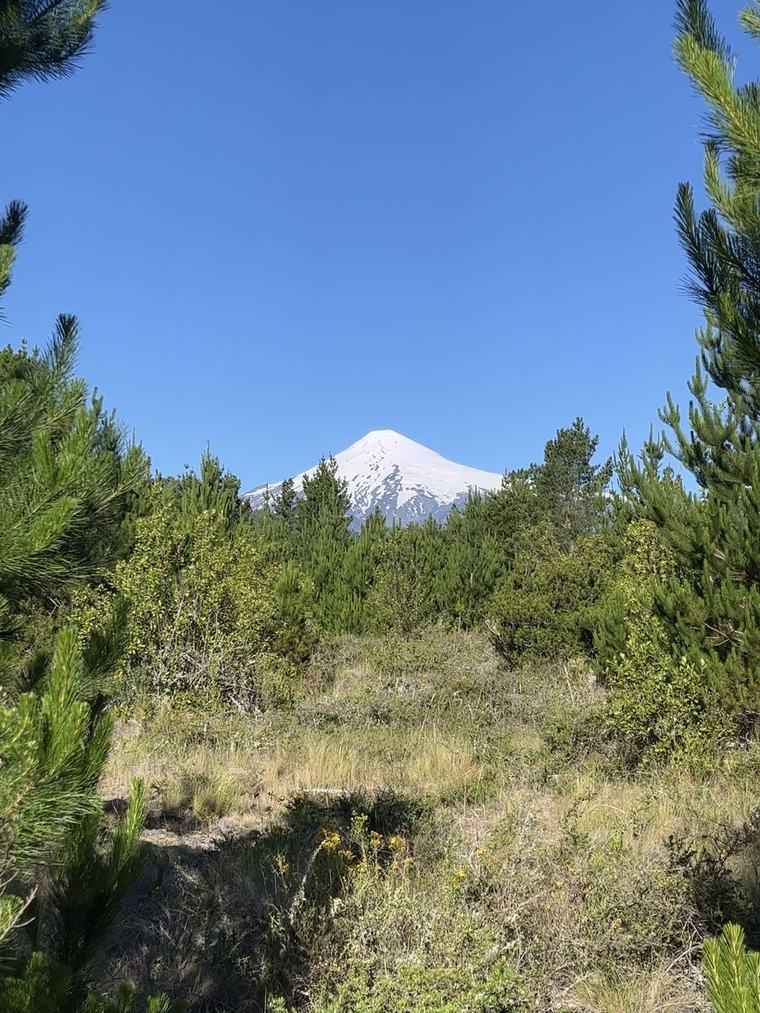 Vista al volcán Villarrica desde el sector Melilahuen
