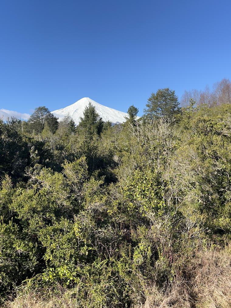 Vista al volcán Villarrica desde el sector Molco
